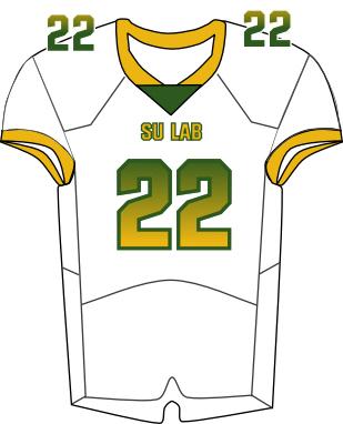 Southern Lab Football Jersey - BSN Green