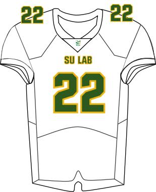 Southern Lab Football Jersey - White